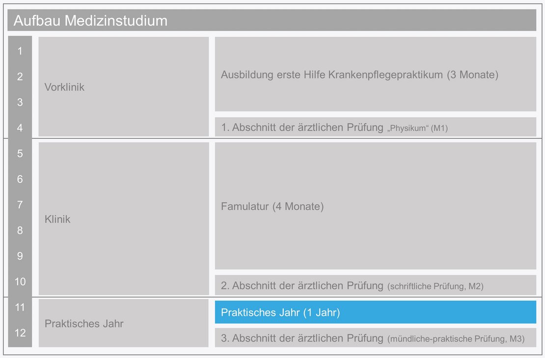 Ablauf des Medizinstudiums in Vorklinik Klinik und Praktisches Jahr. Vorklinik bestehend aus Krankenpflegepraktikum (3 Monate) und Physikum. Klinik bestehend aus Famulatur (4Monate) und M2 Prüfung. Praktisches Jahr bestehend aus Praktischem Jahr (1 Jahr) und M3 Prüfung. Abschnitt Praktisches Jahr hervorgehoben.