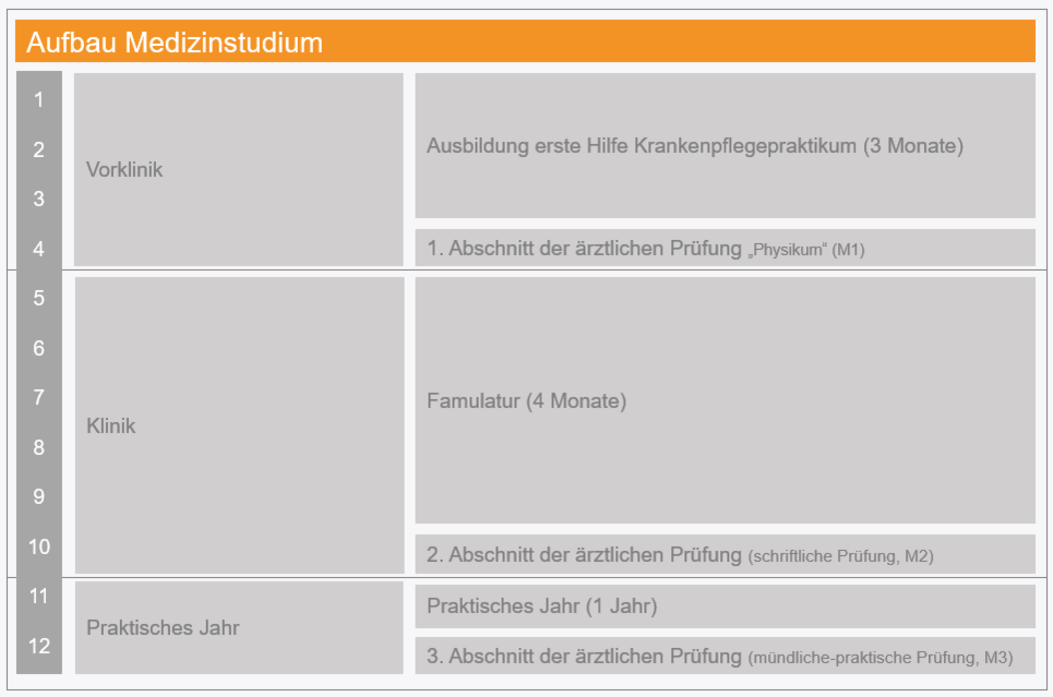 Ablauf des Medizinstudiums in Vorklinik Klinik und Praktisches Jahr. Vorklinik bestehend aus Krankenpflegepraktikum (3 Monate) und Physikum. Klinik bestehend aus Famulatur (4Monate) und M2 Prüfung. Praktisches Jahr bestehend aus Praktischem Jahr (1 Jahr) und M3 Prüfung.